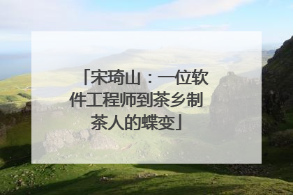 宋琦山：一位软件工程师到茶乡制茶人的蝶变