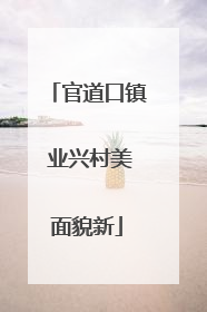 官道口镇 业兴村美面貌新