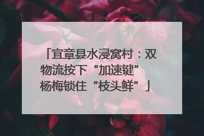 宜章县水浸窝村：双物流按下“加速键” 杨梅锁住“枝头鲜”