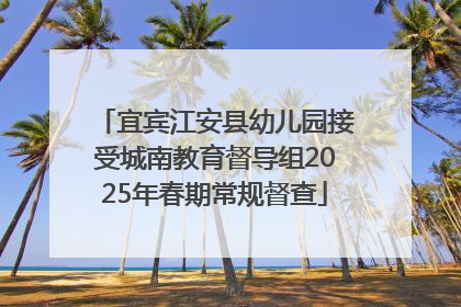 宜宾江安县幼儿园接受城南教育督导组2025年春期常规督查