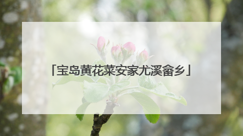 宝岛黄花菜安家尤溪畲乡