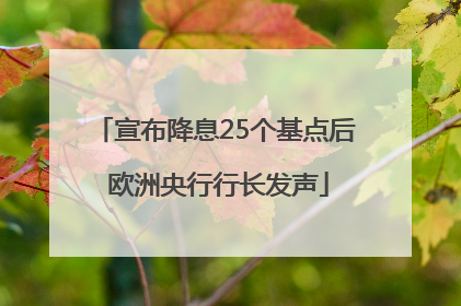宣布降息25个基点后 欧洲央行行长发声