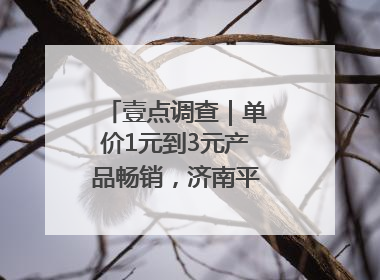 壹点调查｜单价1元到3元产品畅销，济南平价雪糕成主流