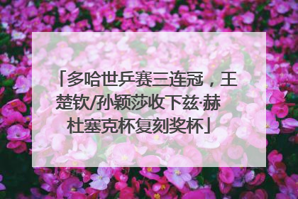 多哈世乒赛三连冠，王楚钦/孙颖莎收下兹·赫杜塞克杯复刻奖杯