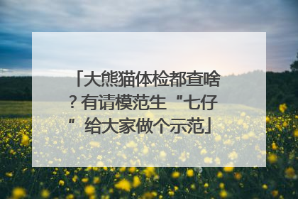 大熊猫体检都查啥？有请模范生“七仔”给大家做个示范