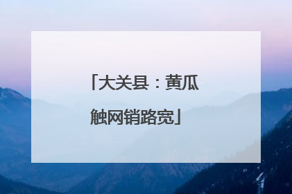 大关县：黄瓜触网销路宽