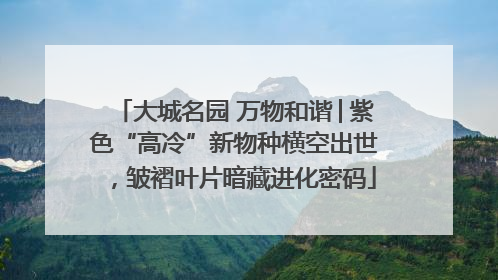 大城名园 万物和谐│紫色“高冷”新物种横空出世，皱褶叶片暗藏进化密码
