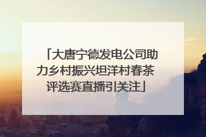 大唐宁德发电公司助力乡村振兴坦洋村春茶评选赛直播引关注