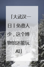 大武汉一日丨免费人少，这个博物馆还能玩AI