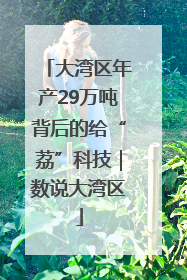 大湾区年产29万吨背后的给“荔”科技｜数说大湾区