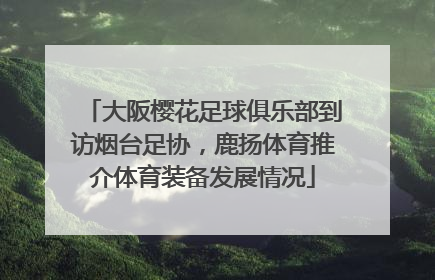 大阪樱花足球俱乐部到访烟台足协，鹿扬体育推介体育装备发展情况
