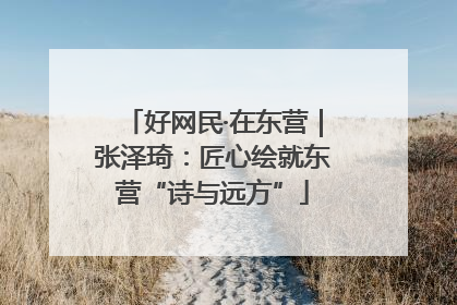 好网民·在东营｜张泽琦：匠心绘就东营“诗与远方”