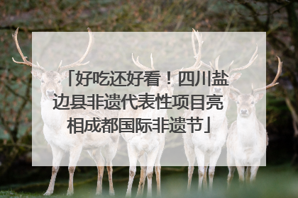 好吃还好看！四川盐边县非遗代表性项目亮相成都国际非遗节