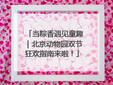 当粽香遇见童趣｜北京动物园双节狂欢指南来啦！
