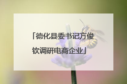 德化县委书记方俊钦调研电商企业