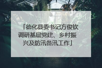 德化县委书记方俊钦调研基层党建、乡村振兴及防汛备汛工作