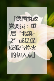 德国执政党要员：重启“北溪-2”或是促成俄乌停火的切入点