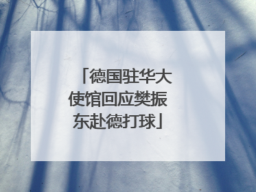 德国驻华大使馆回应樊振东赴德打球