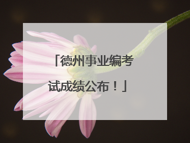 德州事业编考试成绩公布！