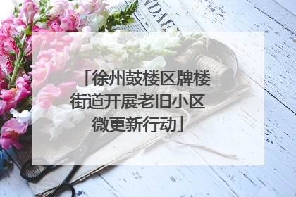 徐州鼓楼区牌楼街道开展老旧小区微更新行动