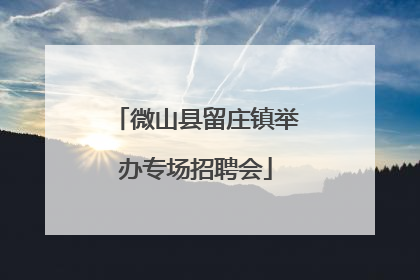 微山县留庄镇举办专场招聘会