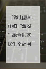 微山县韩庄镇“双圈”融合织就民生幸福网