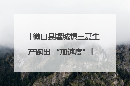 微山县驩城镇三夏生产跑出 “加速度”