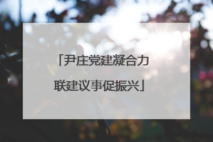 尹庄党建凝合力 联建议事促振兴