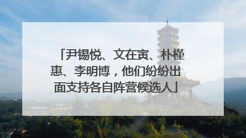 尹锡悦、文在寅、朴槿惠、李明博，他们纷纷出面支持各自阵营候选人