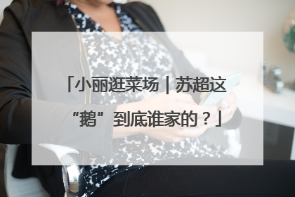 小丽逛菜场｜苏超这“鹅”到底谁家的？