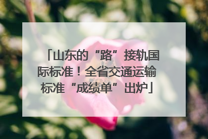 山东的“路”接轨国际标准！全省交通运输标准“成绩单”出炉