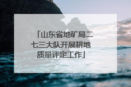山东省地矿局二七三大队开展耕地质量评定工作