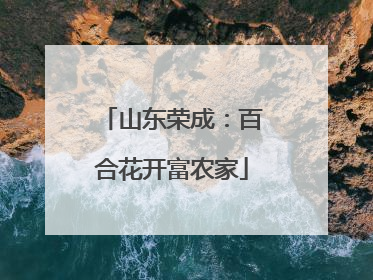 山东荣成：百合花开富农家