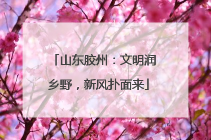 山东胶州：文明润乡野，新风扑面来