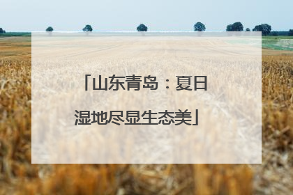 山东青岛：夏日湿地尽显生态美