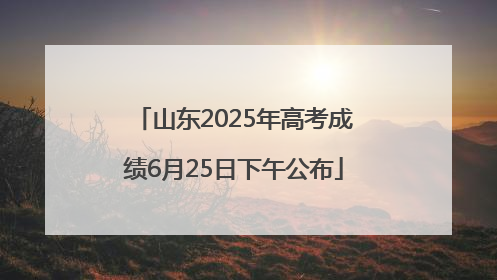 山东2025年高考成绩6月25日下午公布
