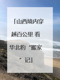 山西境内穿越百公里 看华北豹“搬家”记