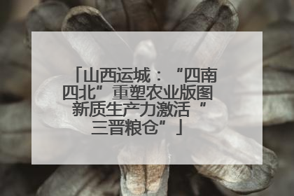 山西运城：“四南四北”重塑农业版图 新质生产力激活“三晋粮仓”