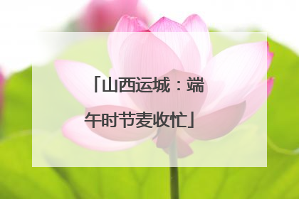 山西运城：端午时节麦收忙