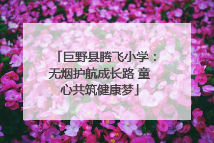 巨野县腾飞小学：无烟护航成长路 童心共筑健康梦