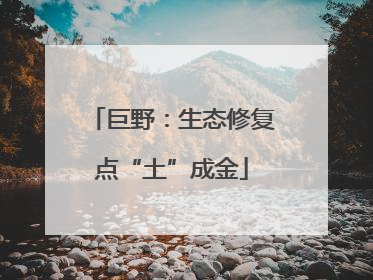 巨野：生态修复点“土”成金