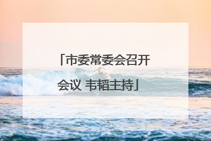市委常委会召开会议 韦韬主持