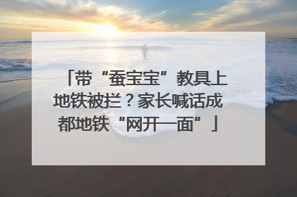 带“蚕宝宝”教具上地铁被拦？家长喊话成都地铁“网开一面”