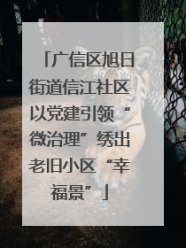 广信区旭日街道信江社区以党建引领“微治理”绣出老旧小区“幸福景”