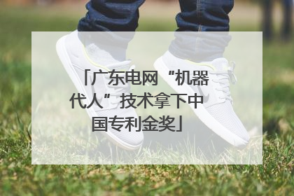 广东电网“机器代人”技术拿下中国专利金奖