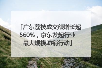 广东荔枝成交额增长超560%，京东发起行业最大规模助销行动