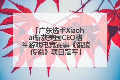 广东选手Xiaohai斩获美国CEO格斗游戏电竞赛事《饿狼传说》项目冠军