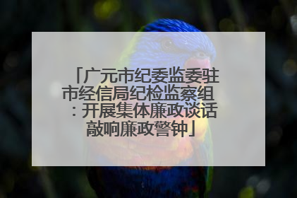 广元市纪委监委驻市经信局纪检监察组：开展集体廉政谈话 敲响廉政警钟
