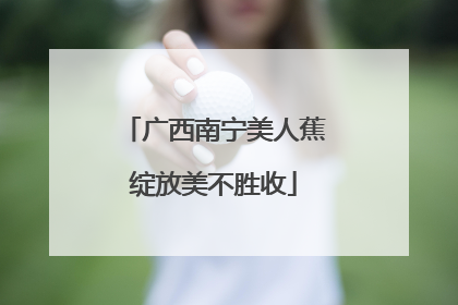 广西南宁美人蕉绽放美不胜收