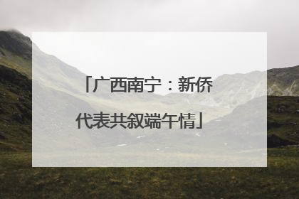 广西南宁：新侨代表共叙端午情